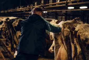 Feeding  problems in dairy farming