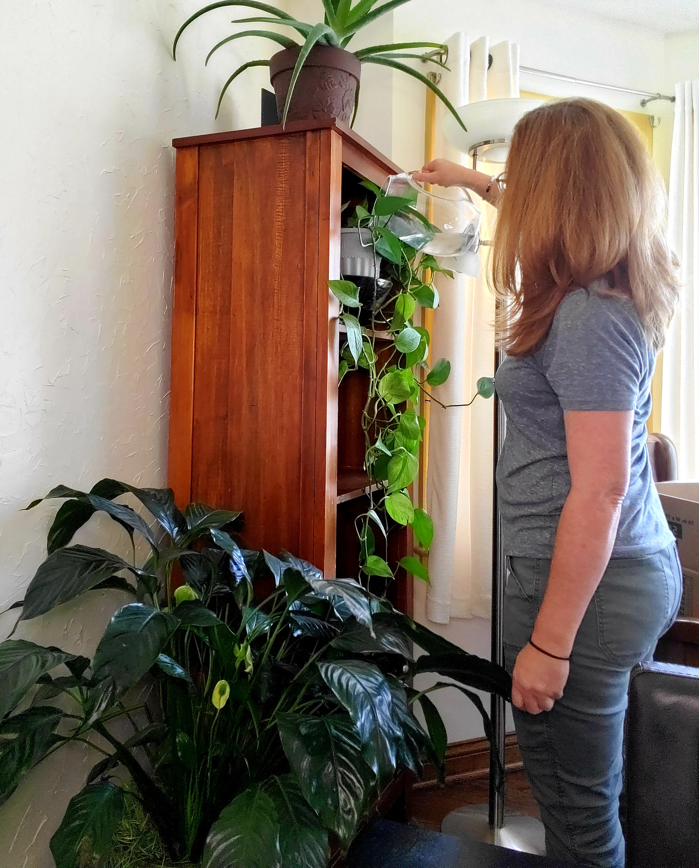 woman watering plant