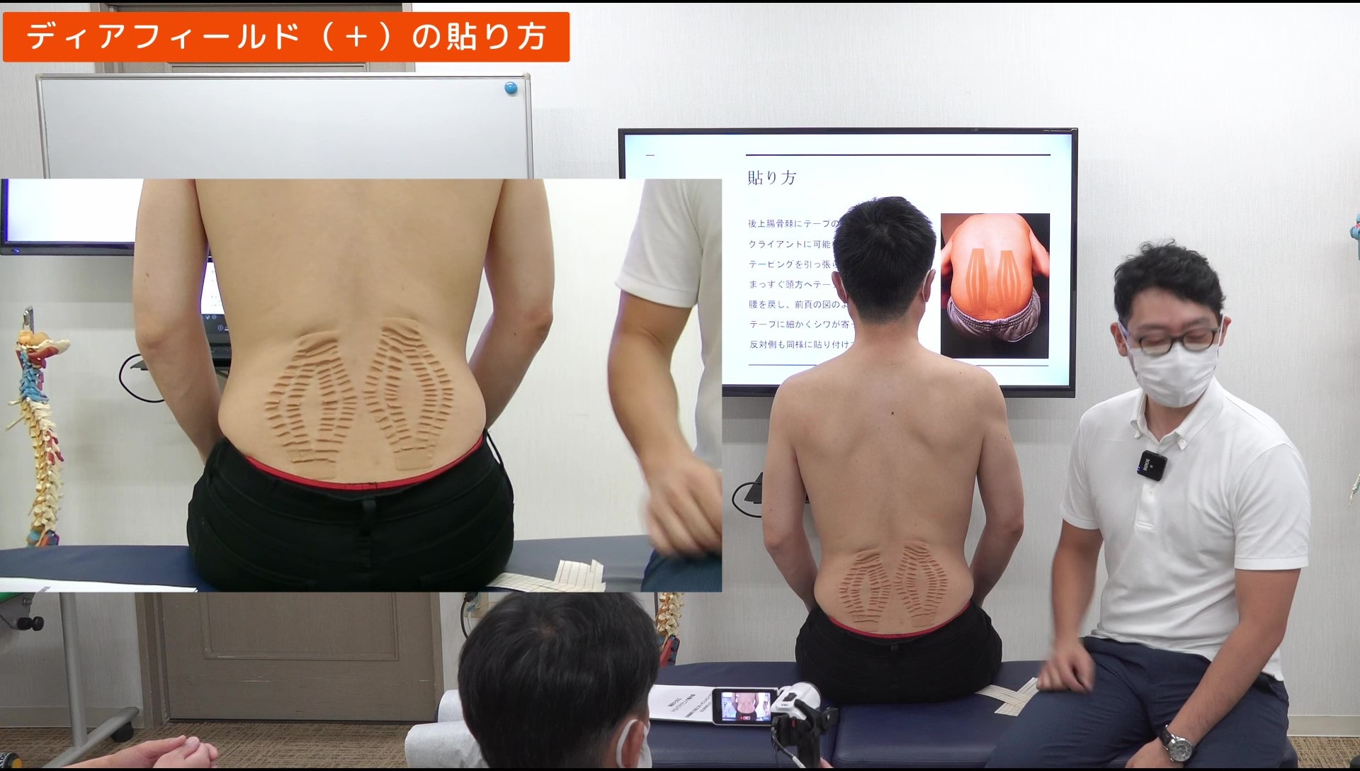 出張施術にも役立つ!骨盤用ポータブルドロップからはじめる 出張施術にも役立つ!骨盤用ポータブルドロップからはじめる