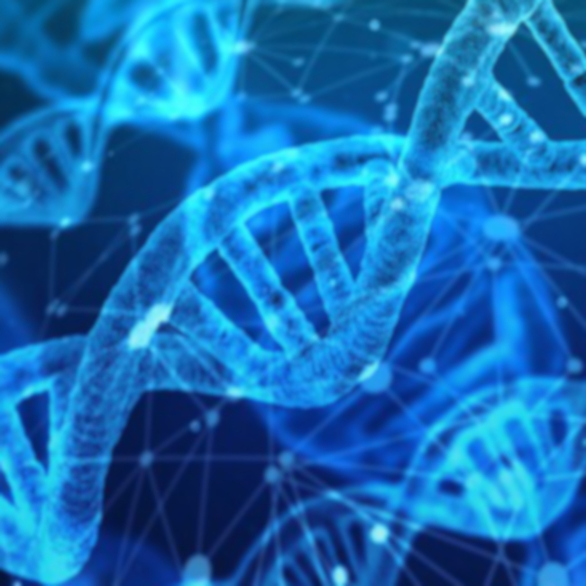 DNA Analytics