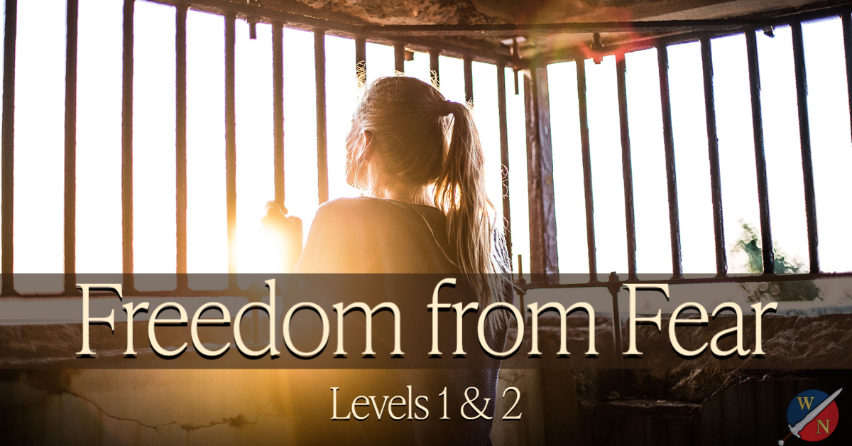 Freedom from Fear with Dr. Kevin Zadai course bundle image