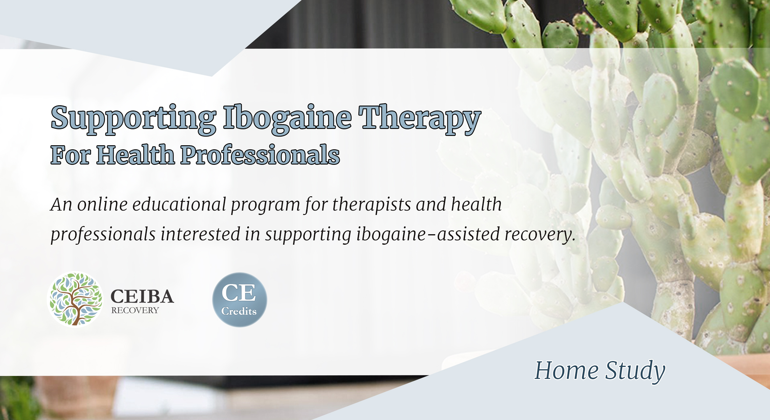 Supporting Ibogaine Therapy for Health Professionals