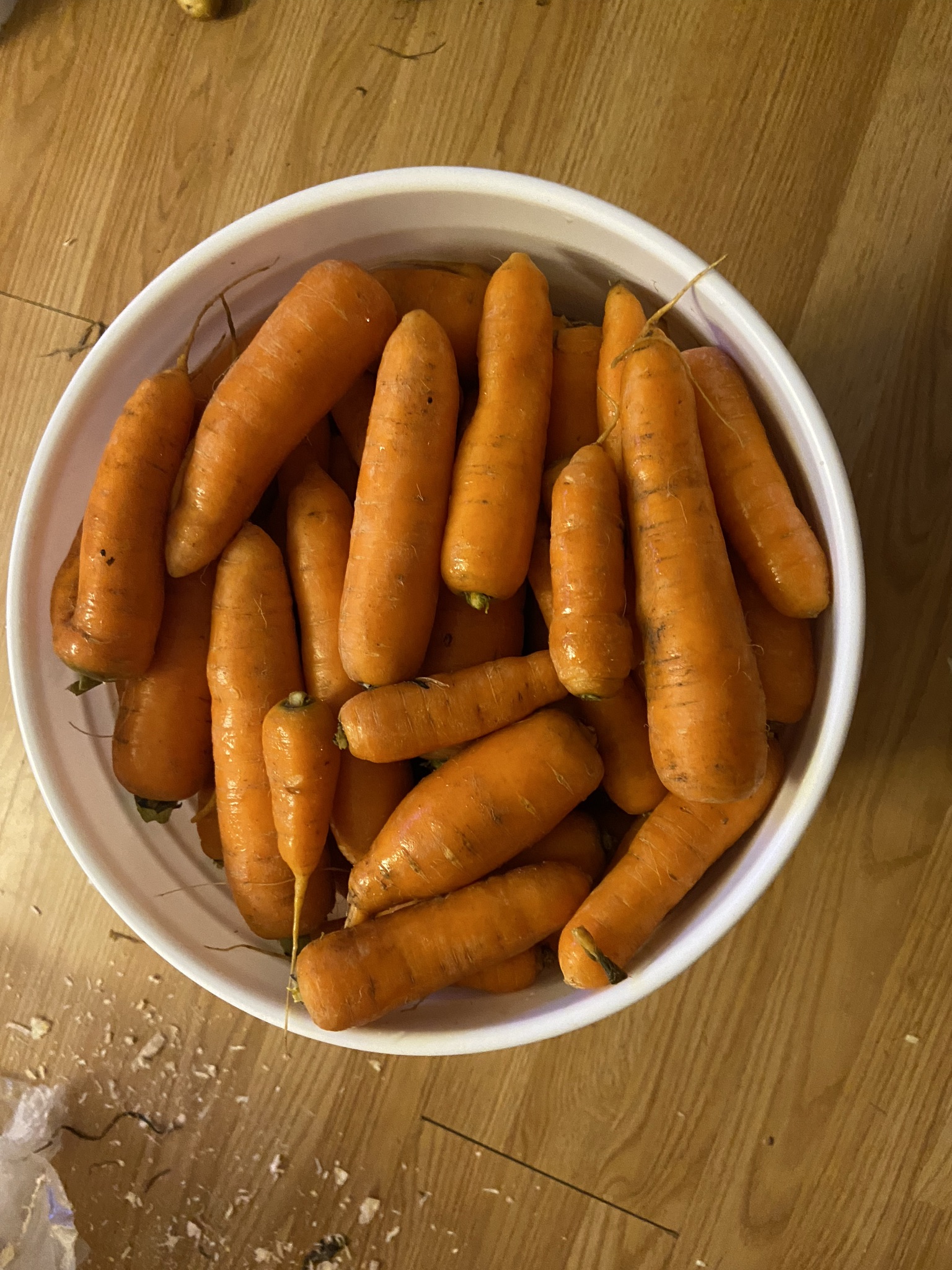 Des carottes dans un seau
