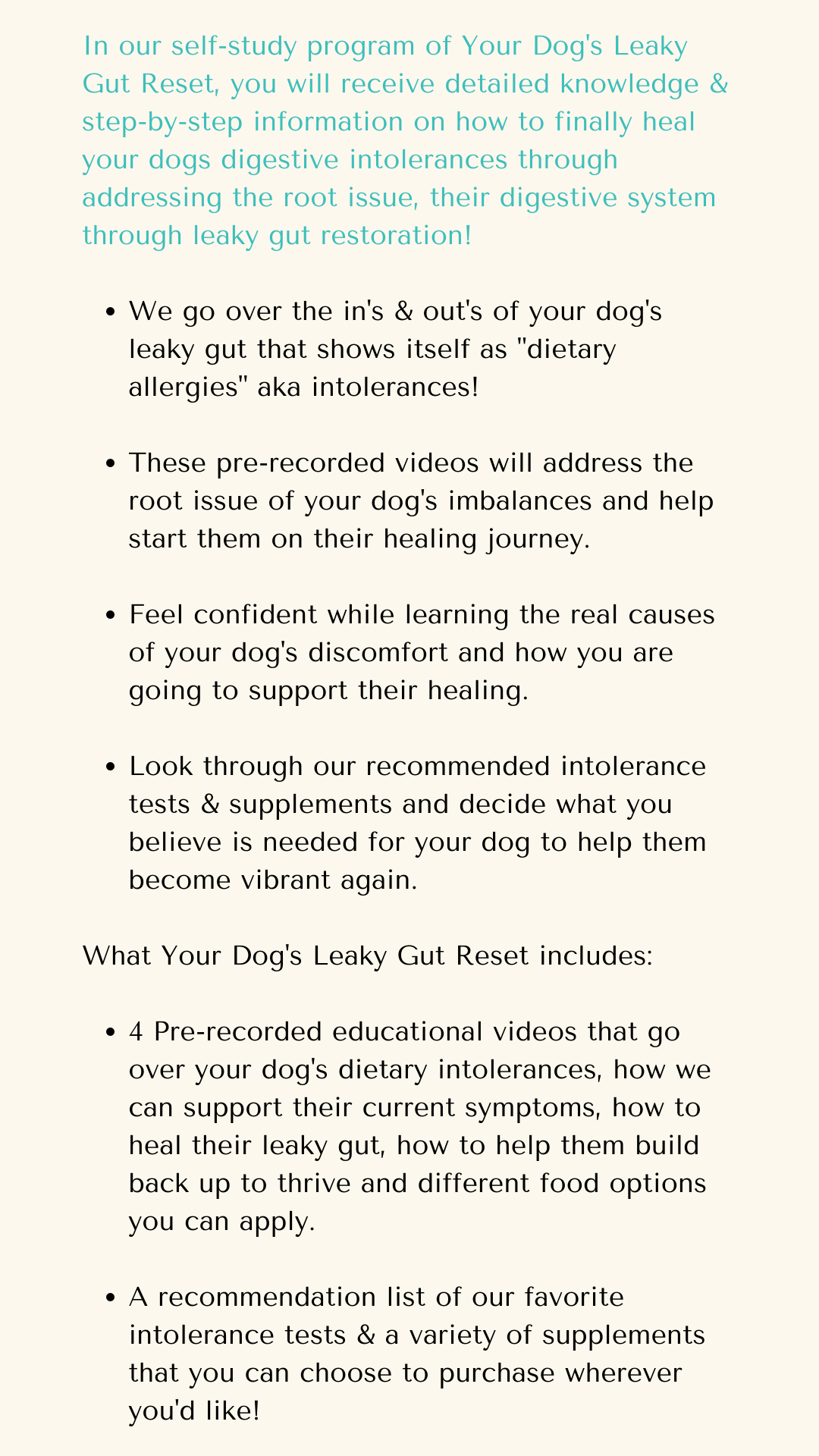 Your dog&#39;s leaky gut protocol information what comes with your healing videos