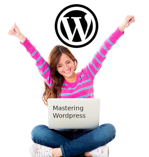 mastering wordpress course