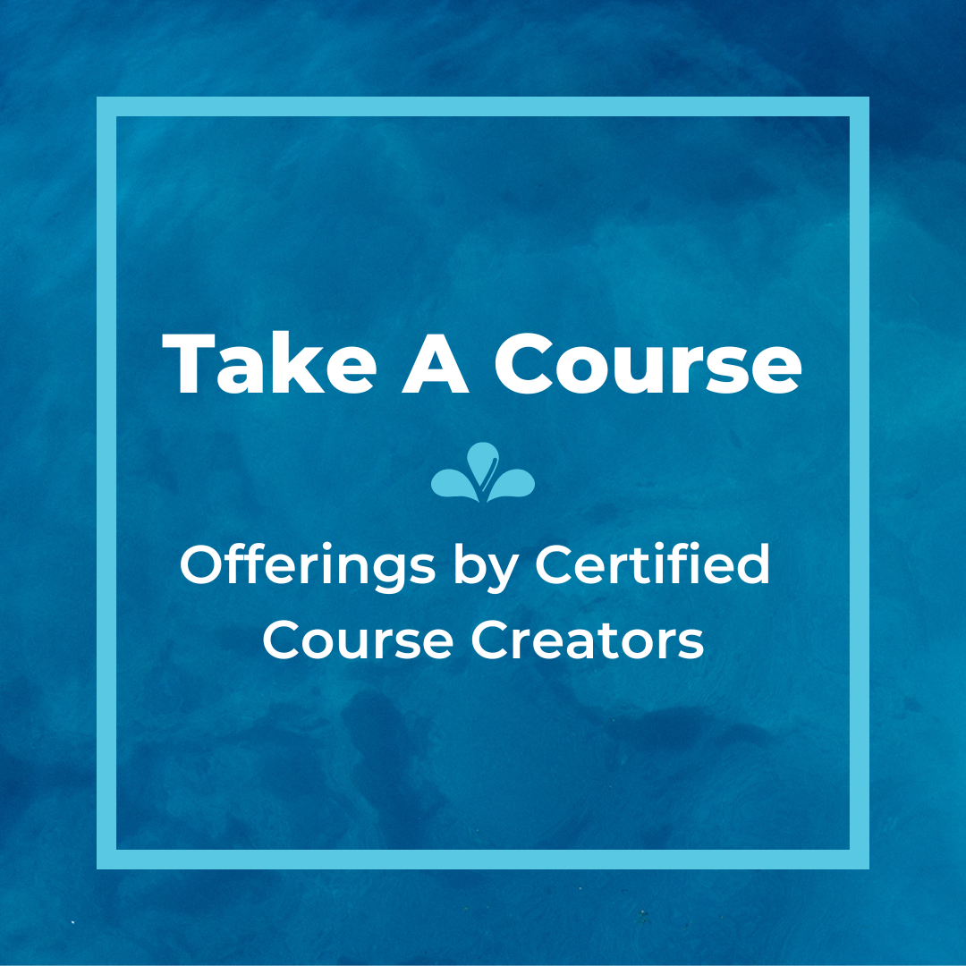 Take an online course