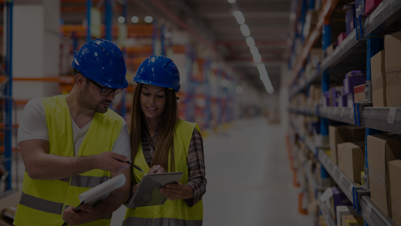 SAP EWM (Extended Warehouse Management) on ECC Training