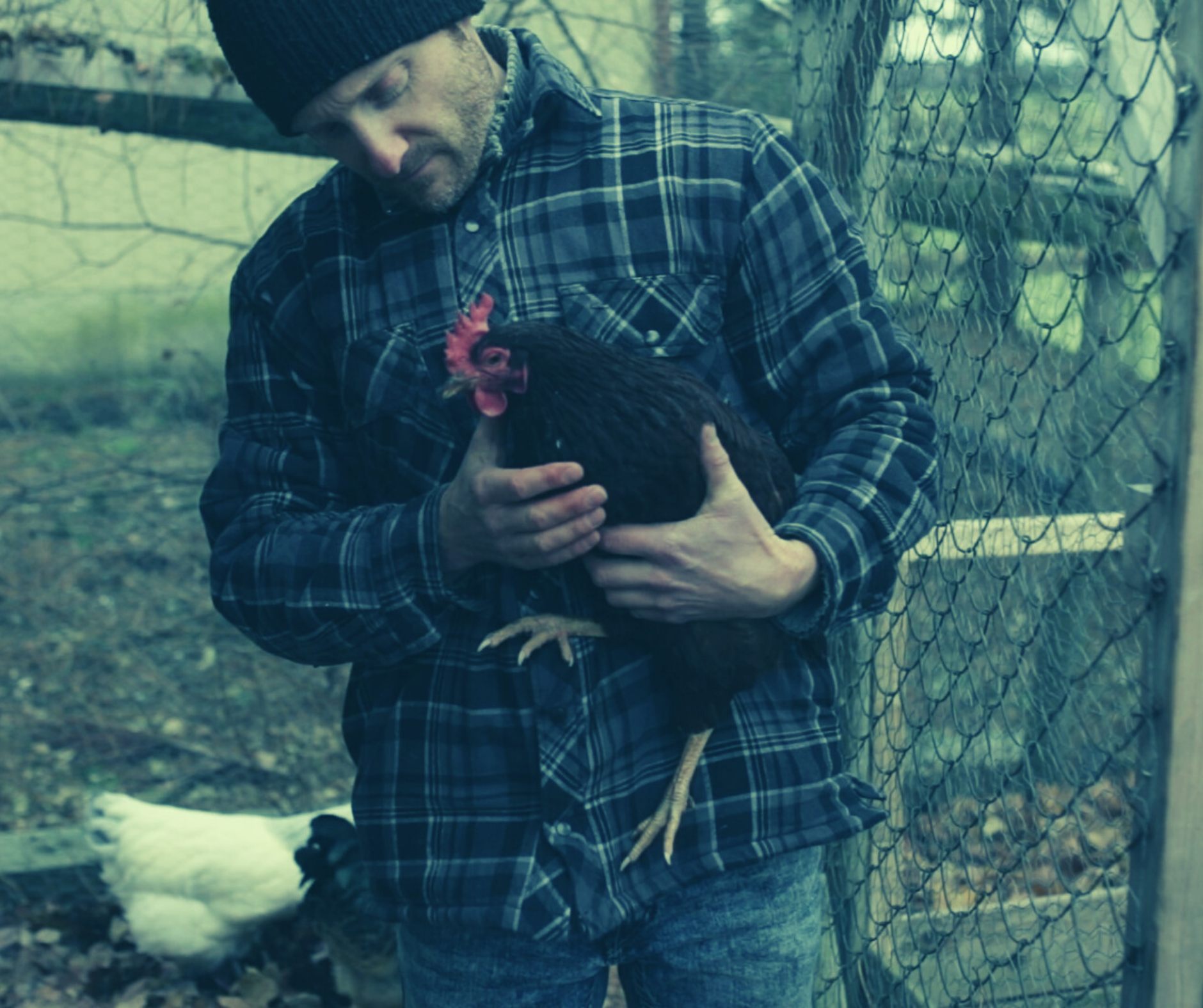 Martin Boisvert tenant une poule dans ses mains.