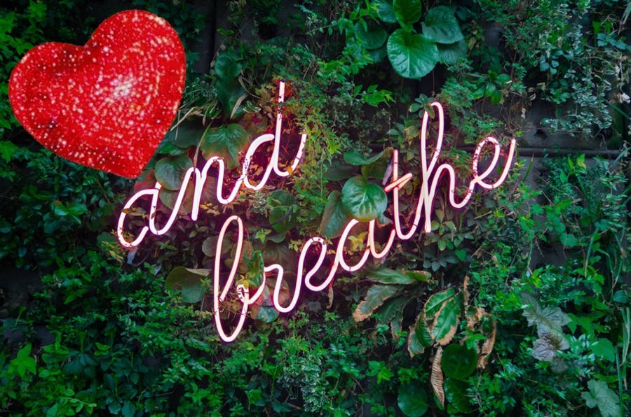 Red heart with the words &#39;and breathe&#39; against green foliage