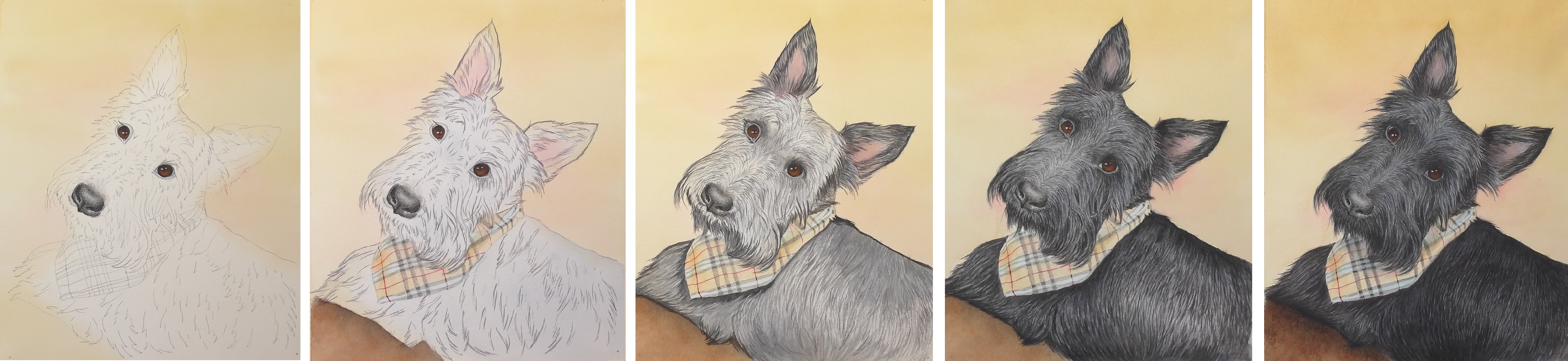 how to paint a brown eye in watercolor by rebecca rhodes