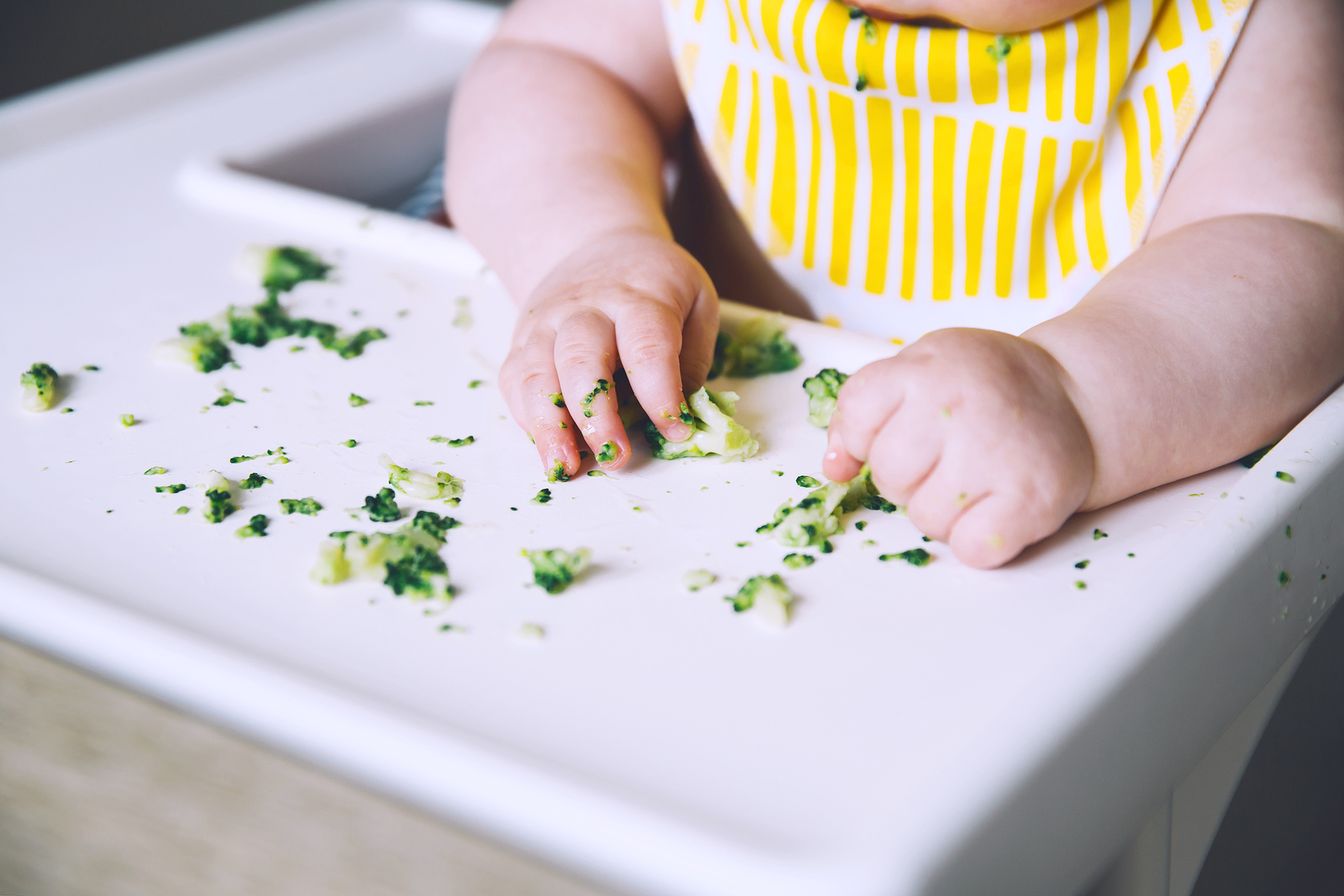 baby led weaning