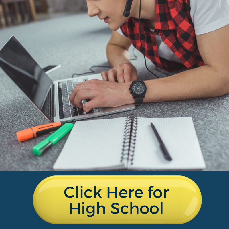 High School Online Book Clubs