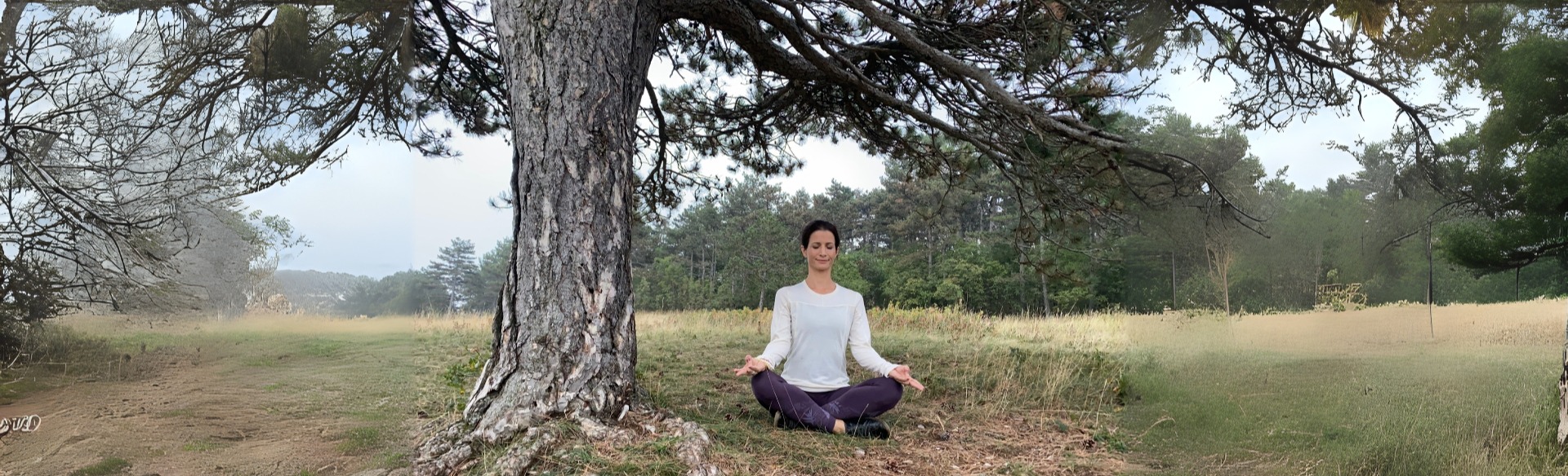 Veronika Vasko Scuola di Yoga e Meditazione