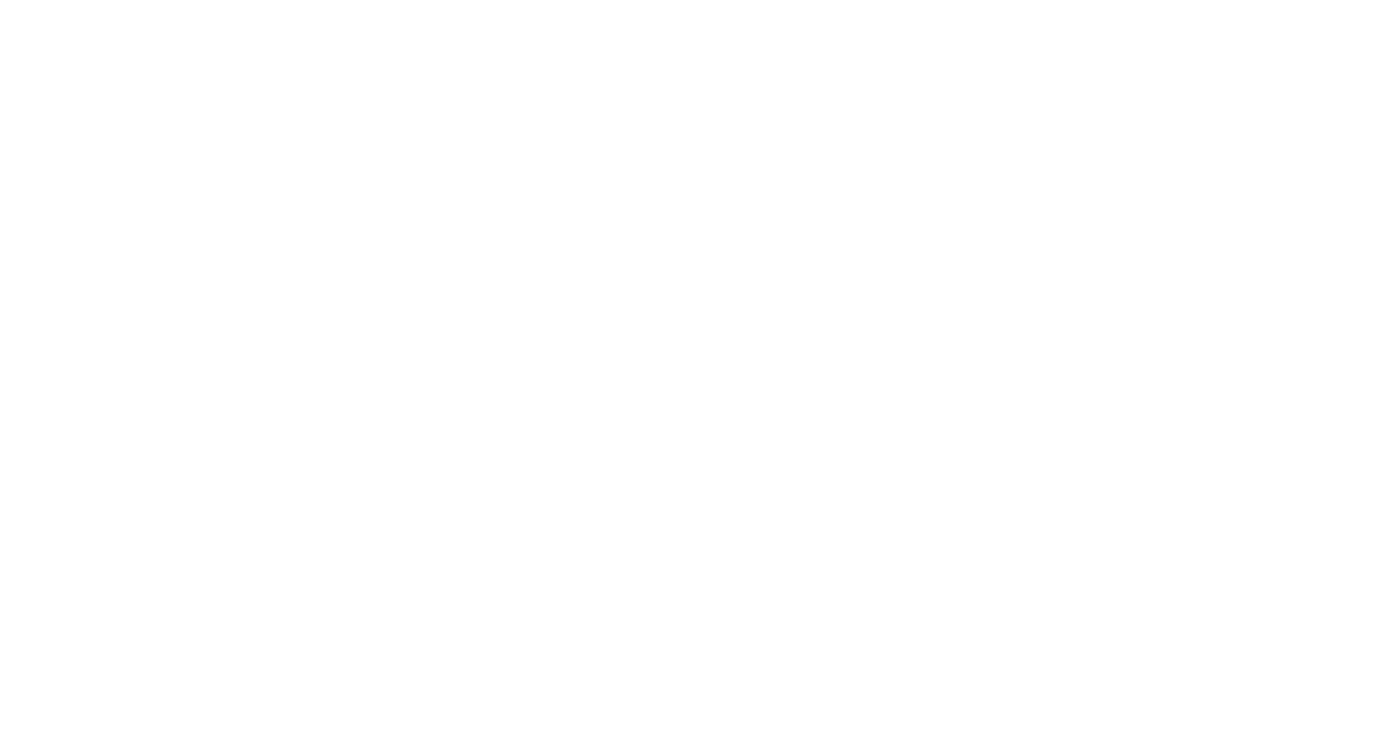 Un Camino Claro hacia el Liderazgo en IA