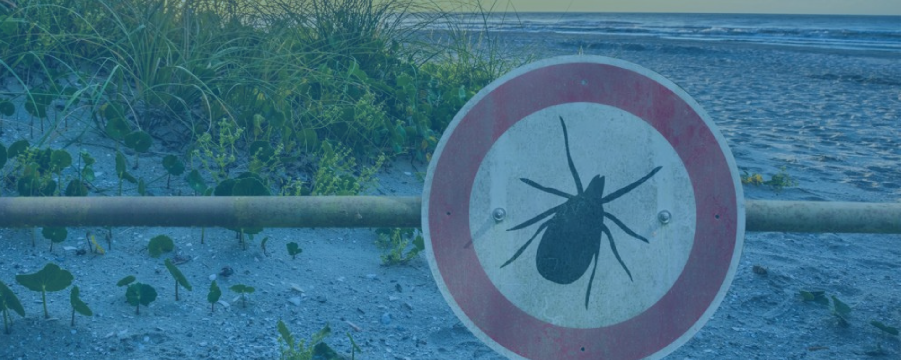 Managing Ixodes pacificus bites