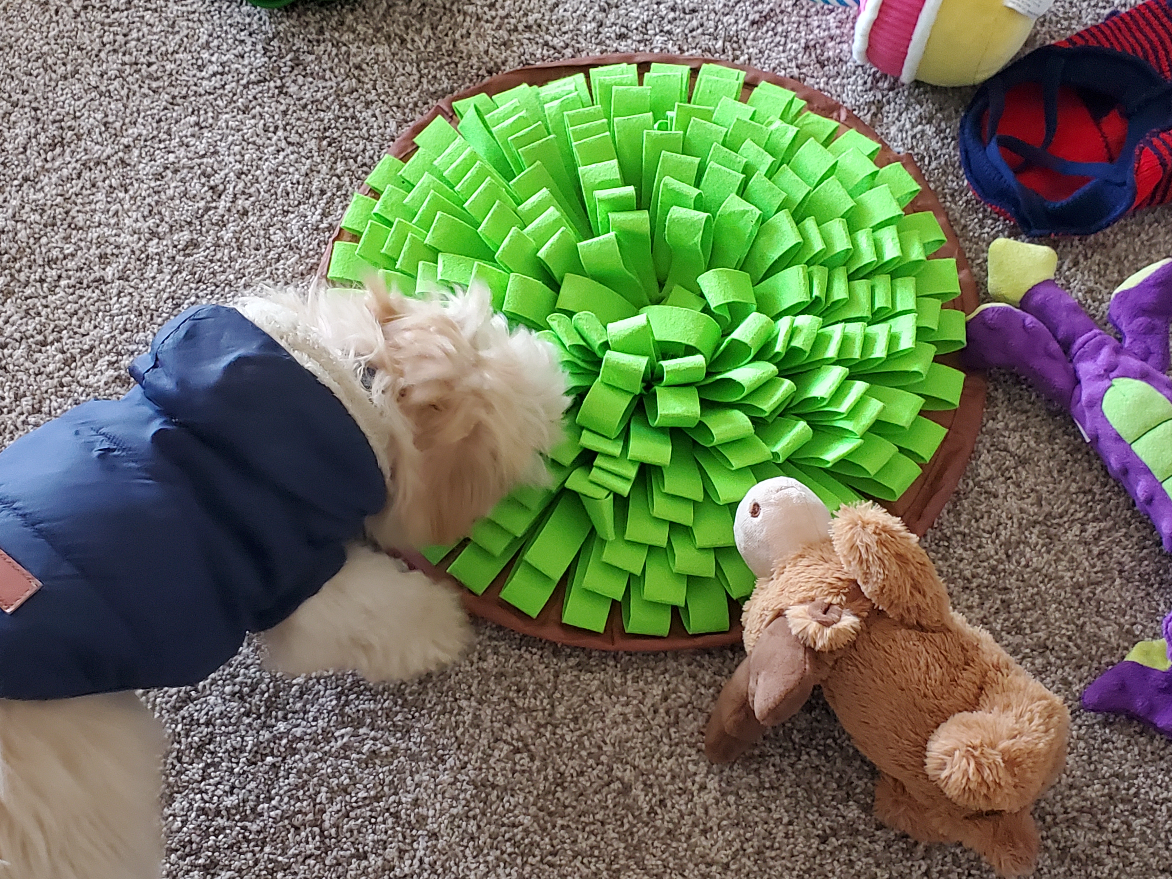 Pup with a snuffle mat