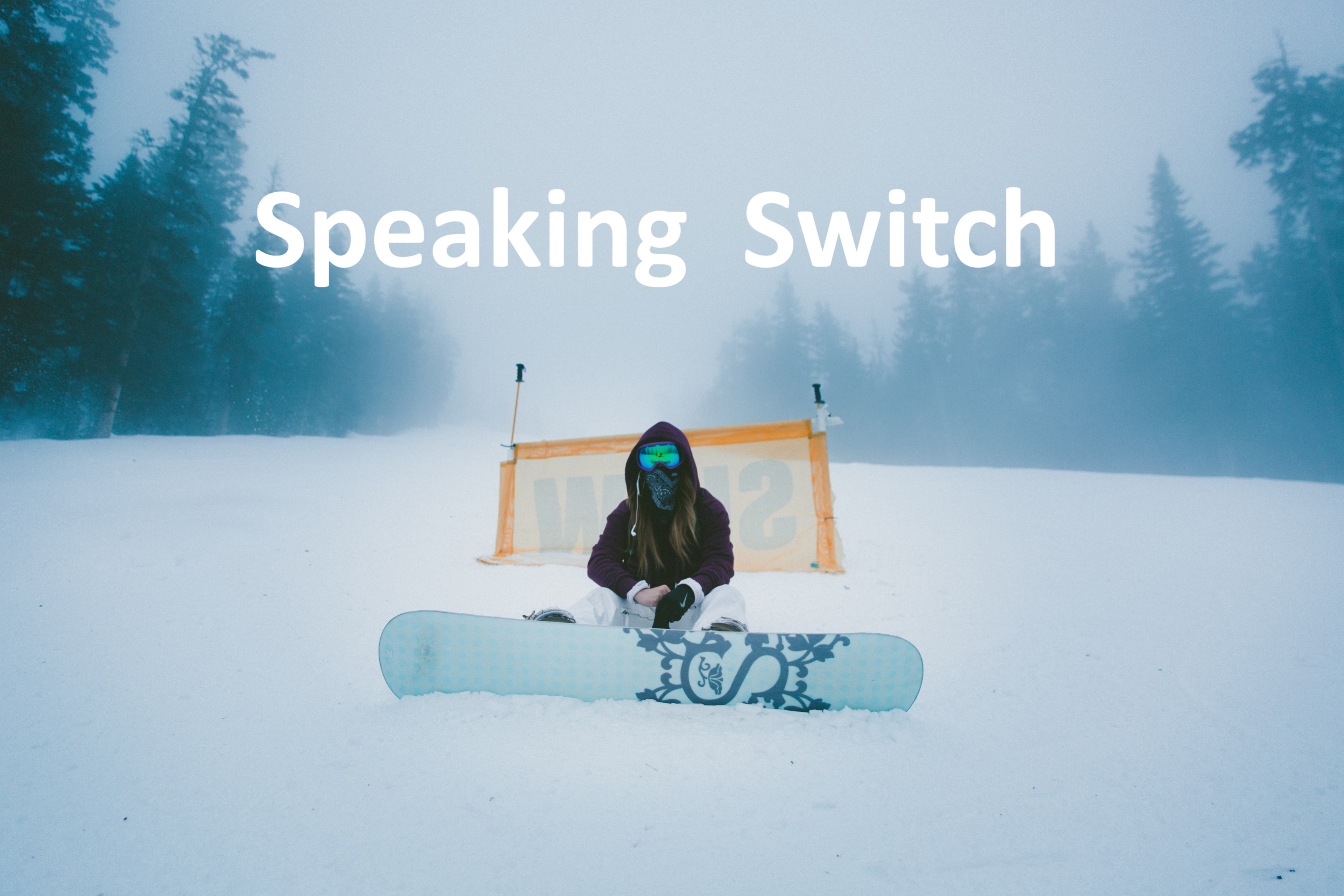 Speaking Switch