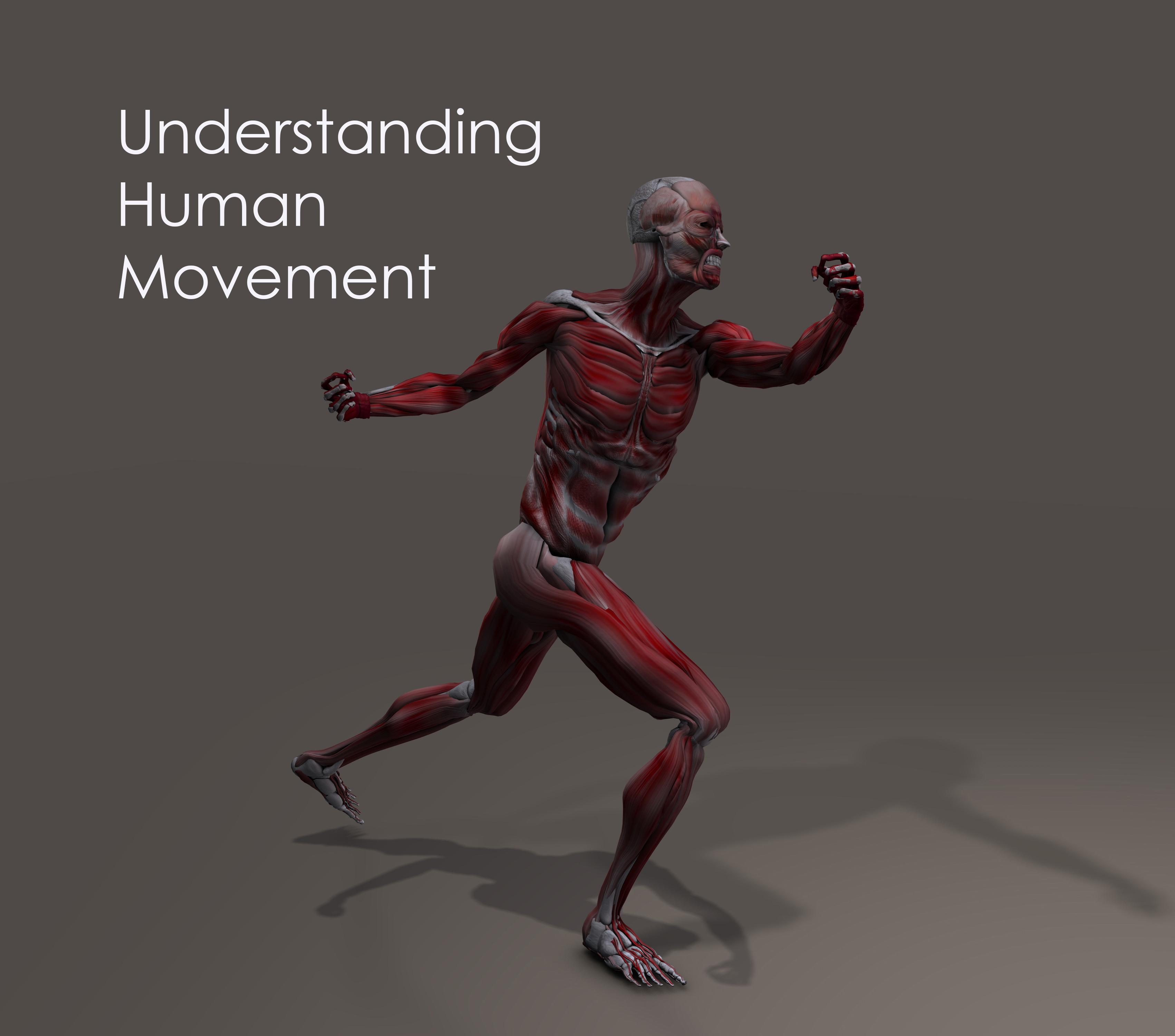 ANATOMY AND FUNCTIONAL ANATOMY BEHIND HUMAN MOVEMENT | Pinnacle