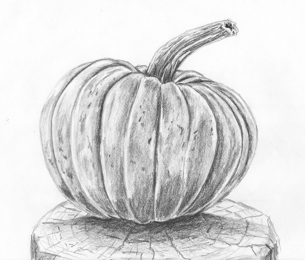 How to Draw a Pumpkin Let's Draw Today Club