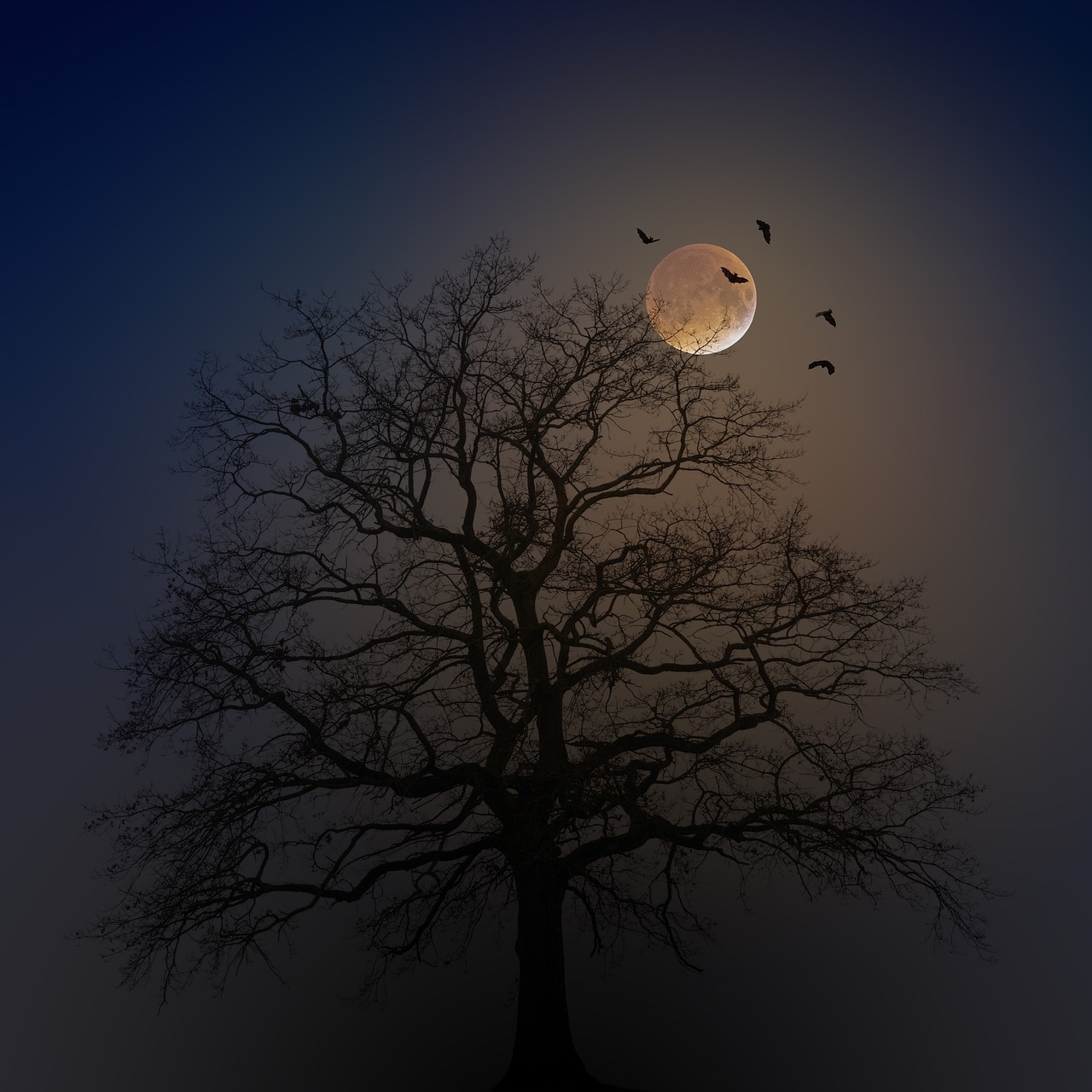 Full moon in night sky behind a black, skeletal tree