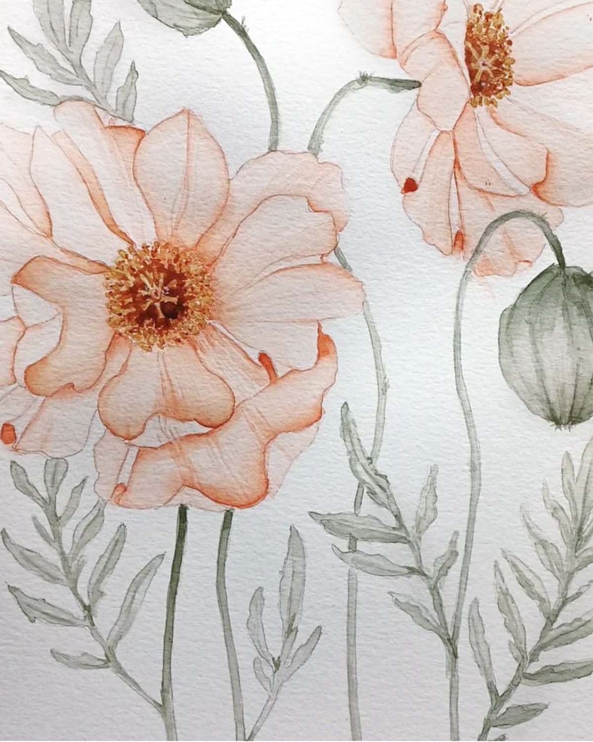 floral coloring pages for watercolors