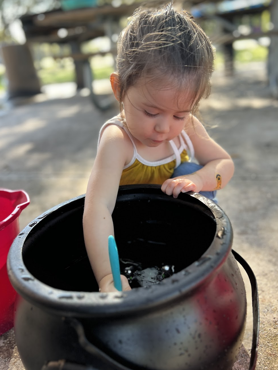 What to teach a two year old {Get ready for pre-k} - Kid Activities with  Alexa