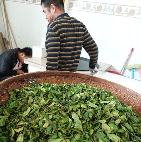 jiang hua xiang tea