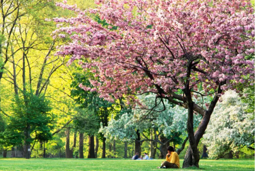 Spring 2025