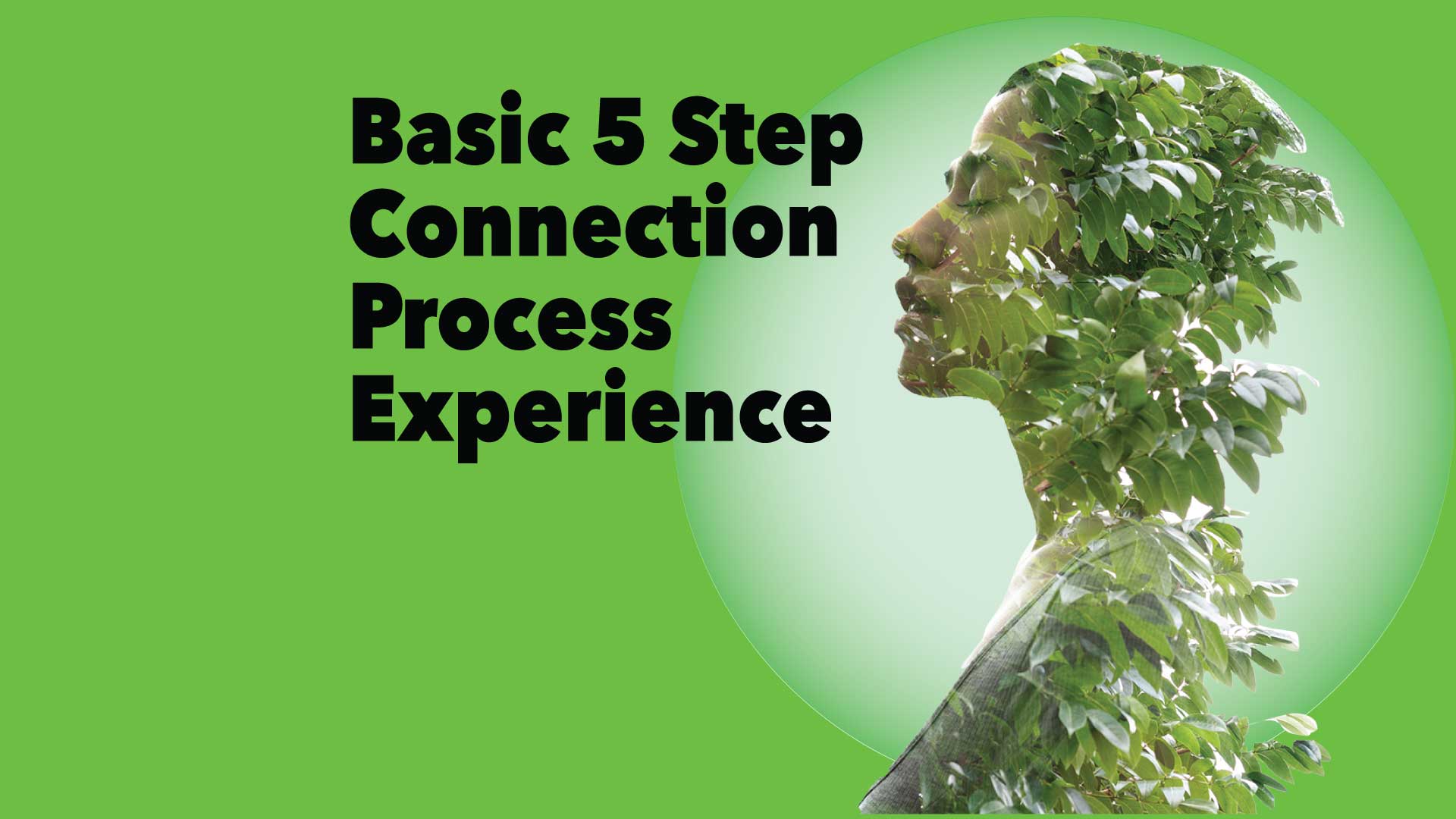 The Basic  5 Step  Connection Process Experience