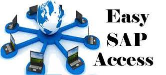 accesso remoto sap