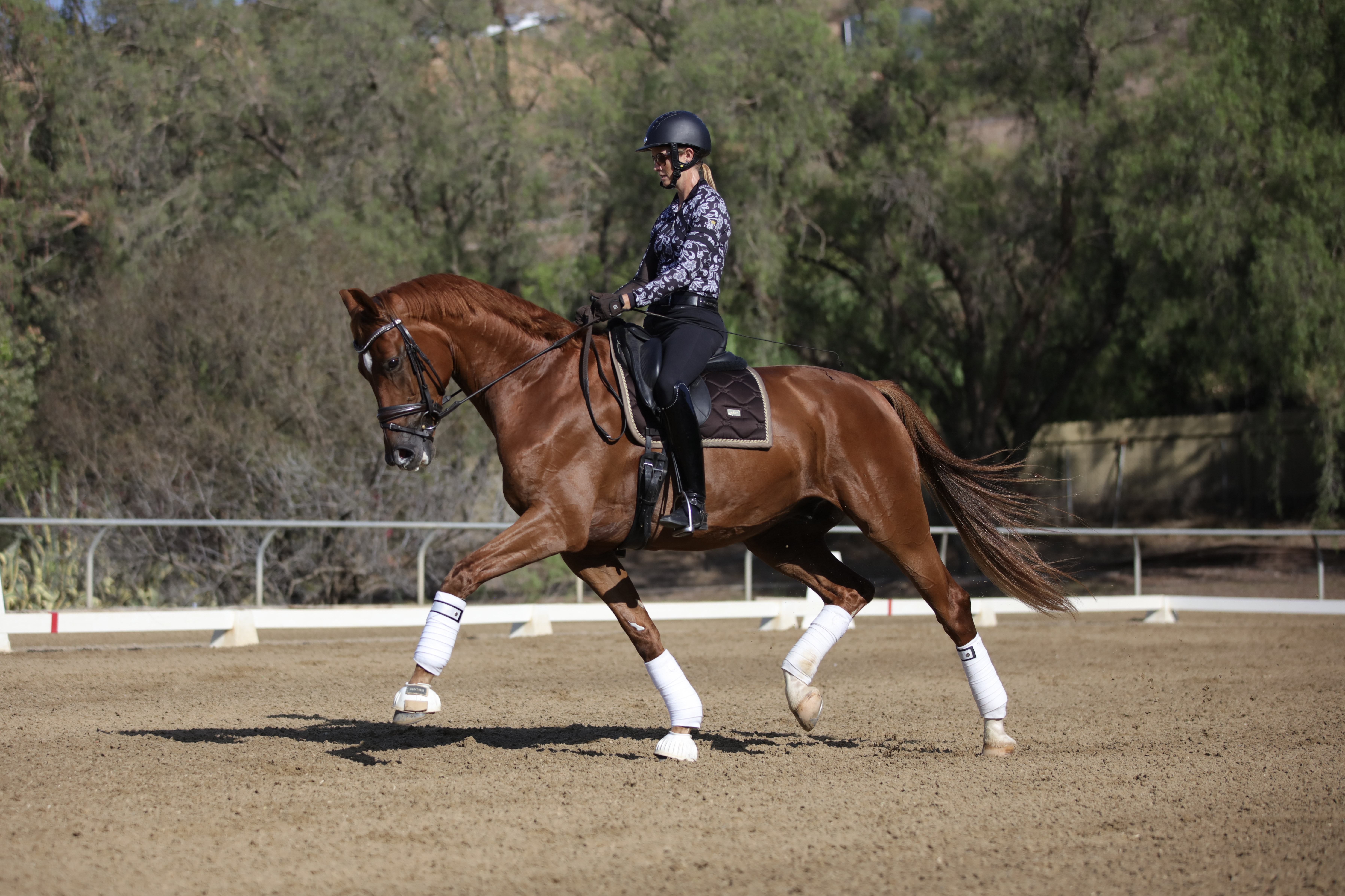 Crossover leggings with pockets — Dressage By Amelia