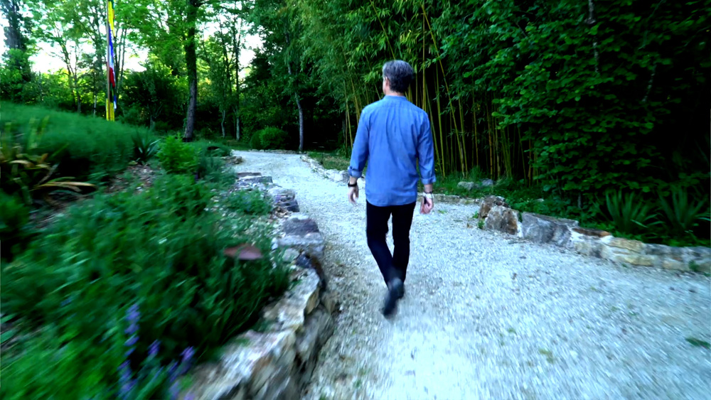 Martin walking on a path