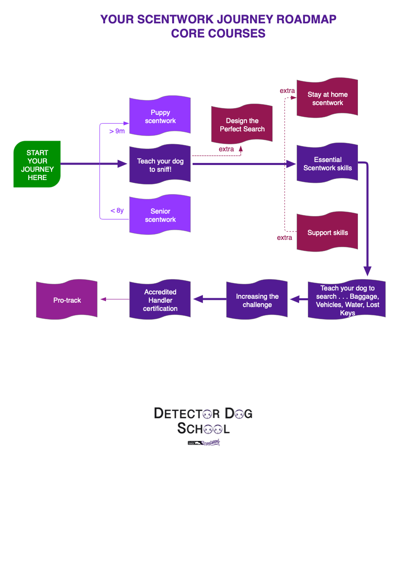 chart of course order