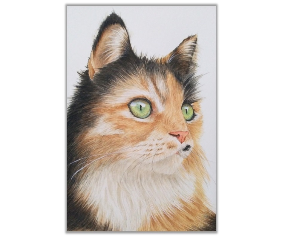 calico cat in watercolor by rebecca rhodes