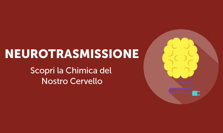 Corso-Online-Neurotrasmissione-Chimica-Cervello-Life-Learning