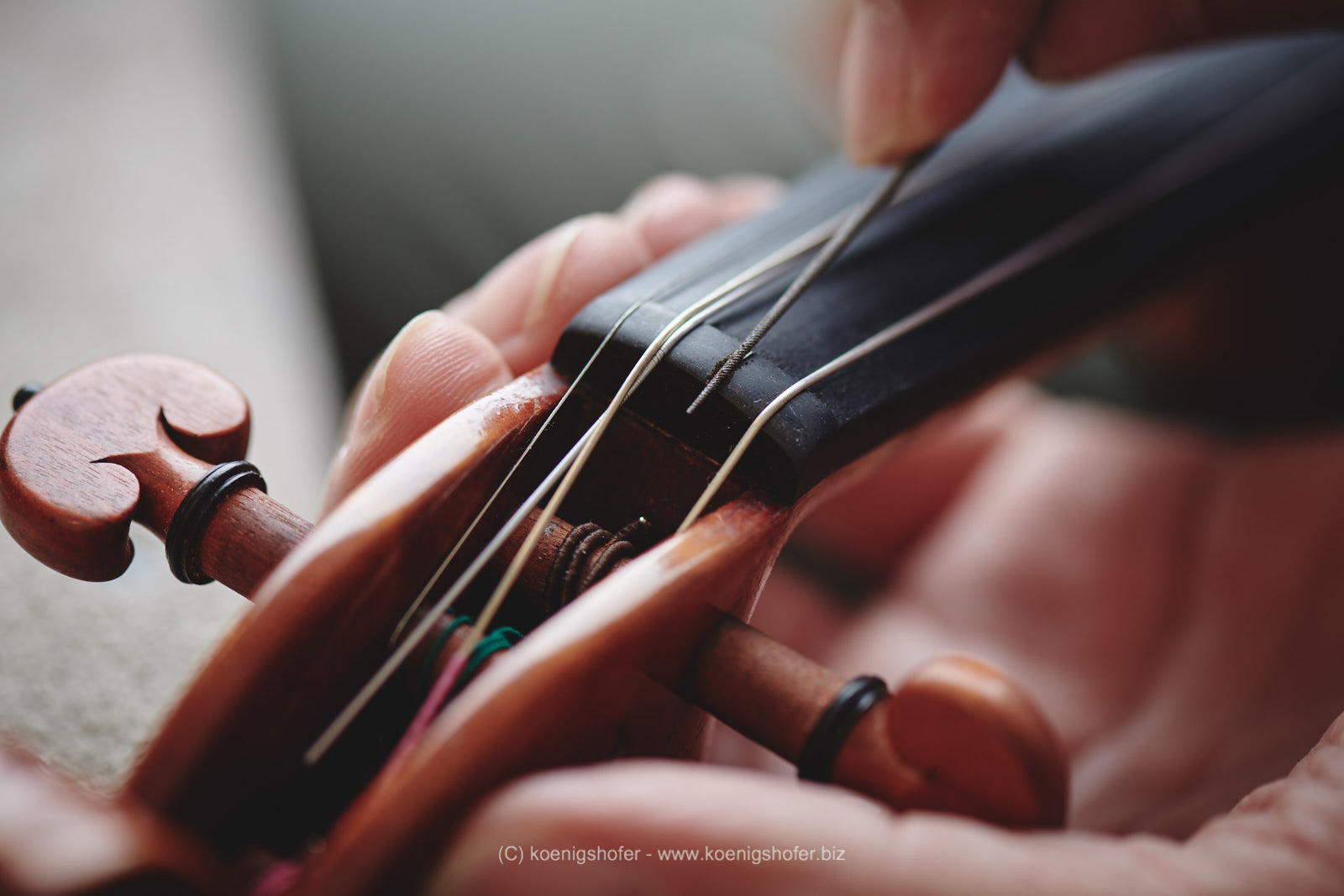 Edgar’s Online Violinmaking Academy Set up course