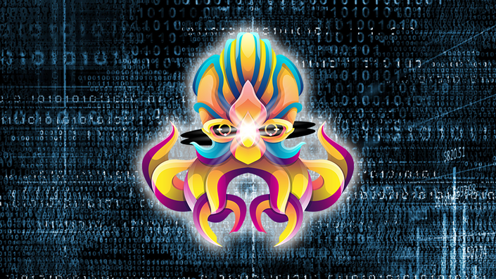 Practical Web Application Security and Testing Octopus Logo