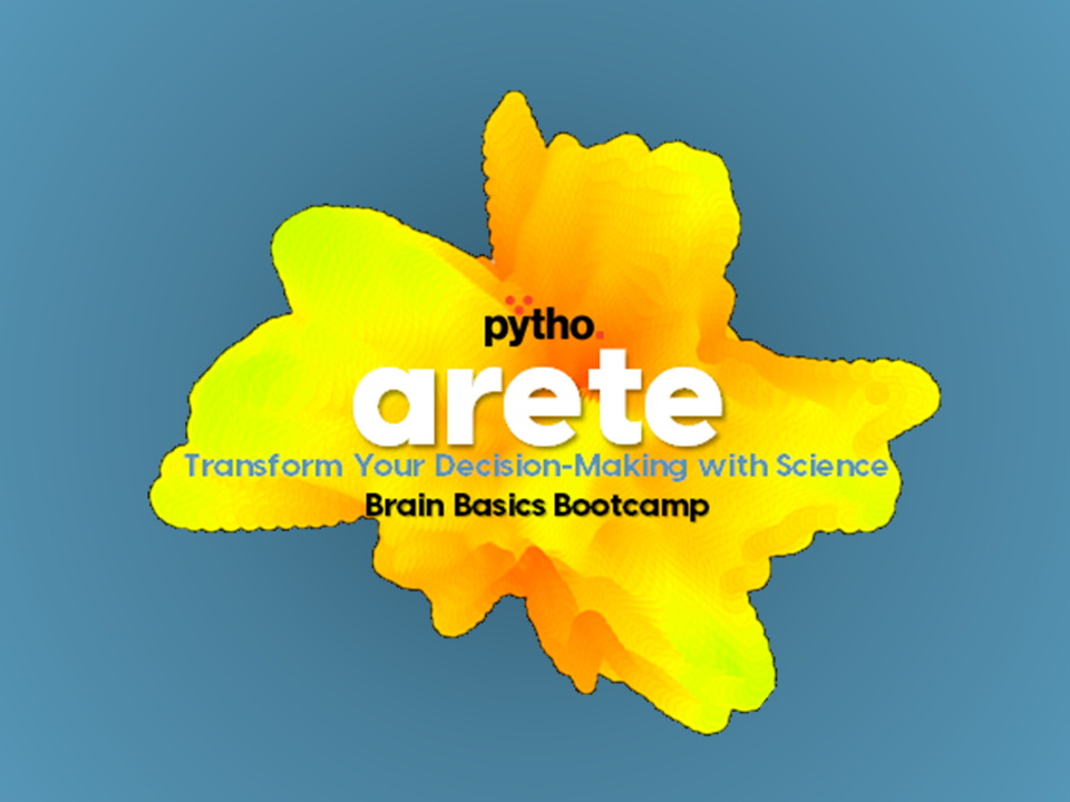 ARETE Brain Basics Bootcamp