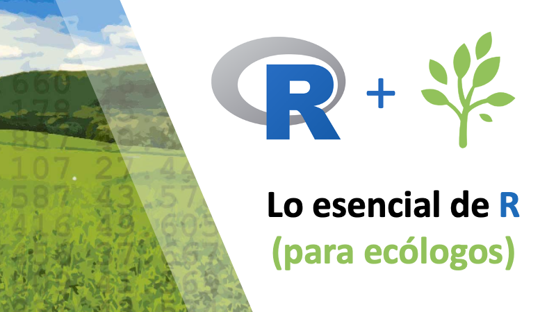 The Basics of R (for ecologists)