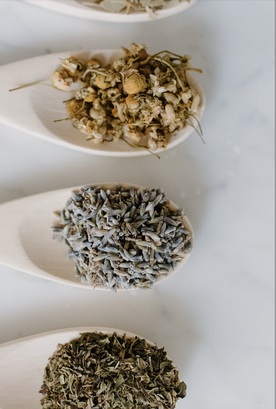 spoons full of herbs: lavender, chamomile, and basil, laid out next to each other in a pleasing straight line