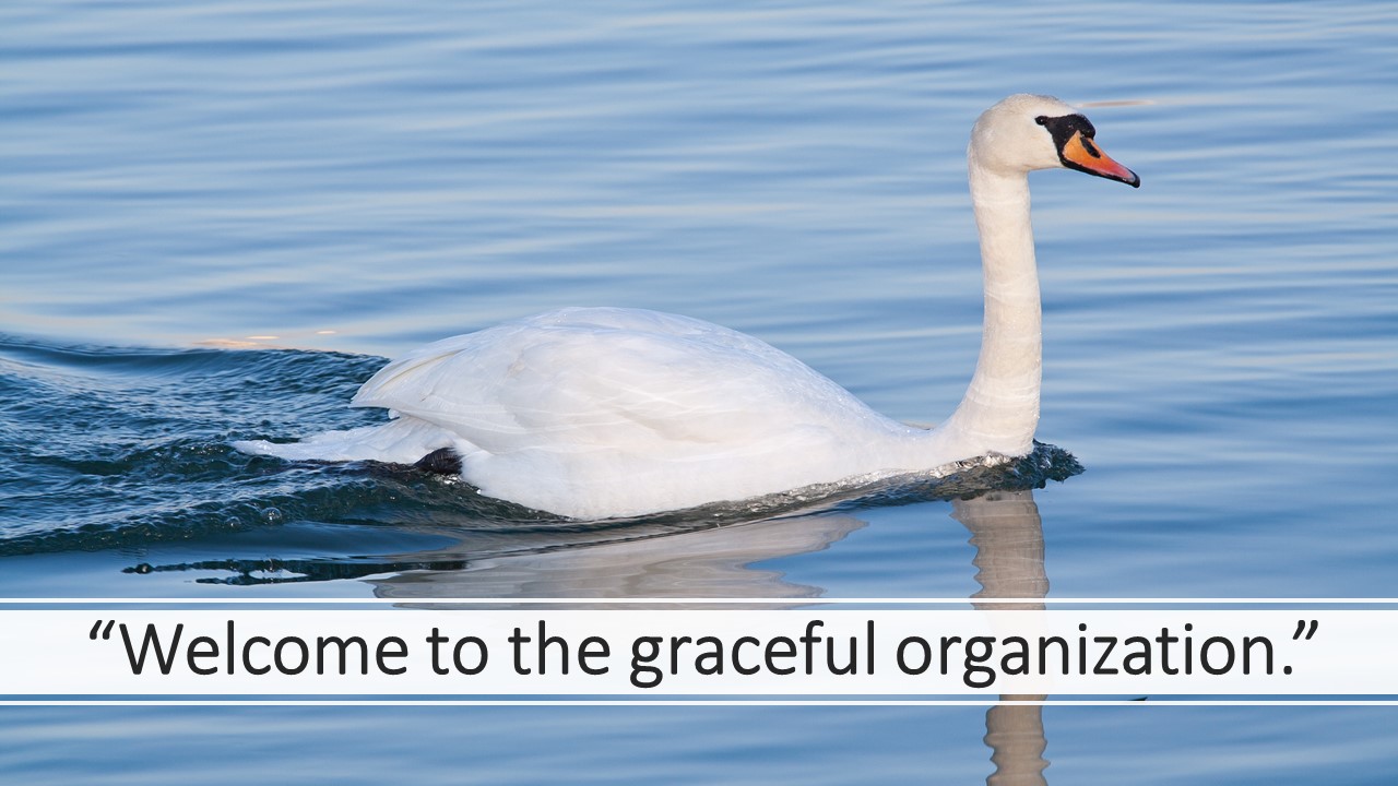 The Graceful Organisation