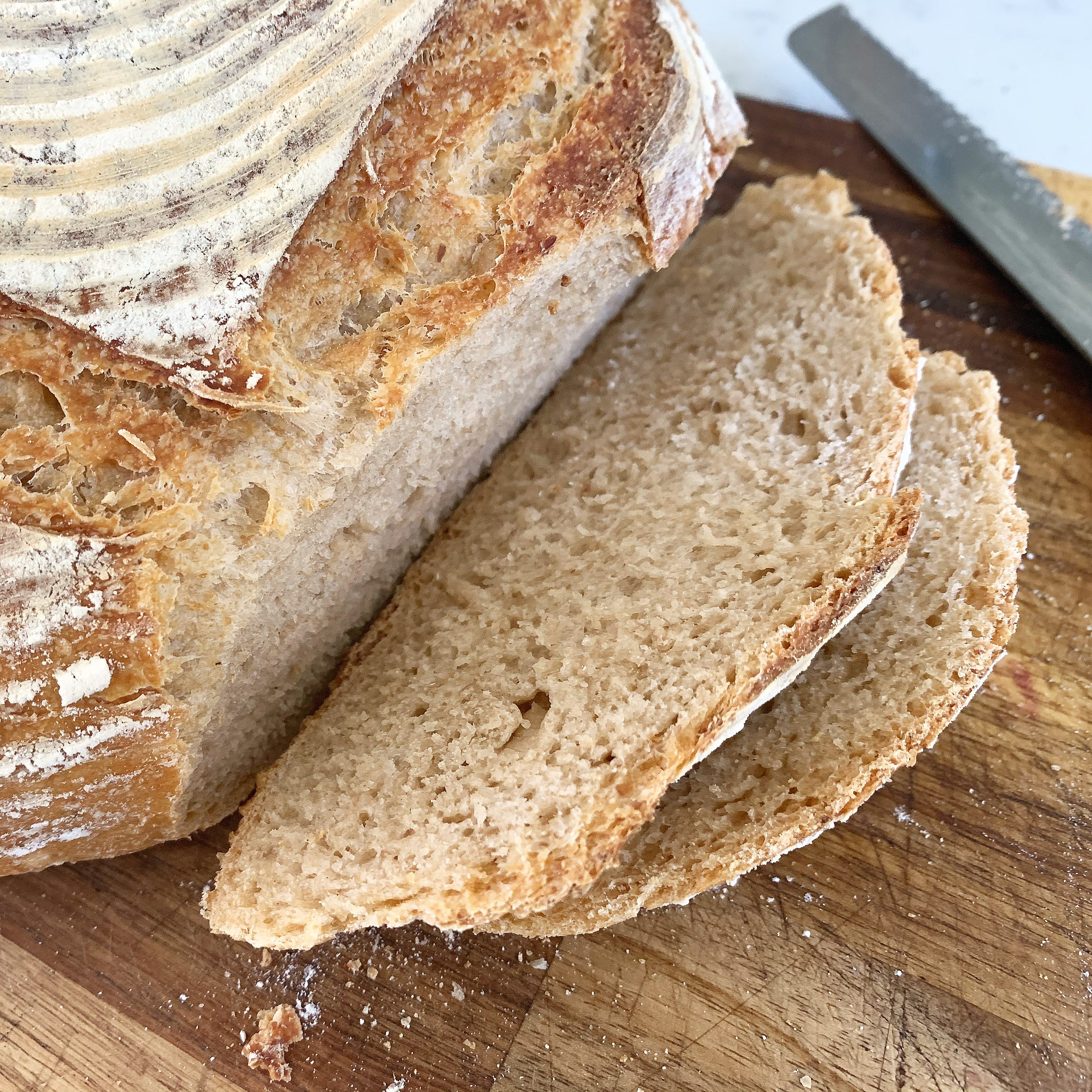 sourdough basics — our happy home