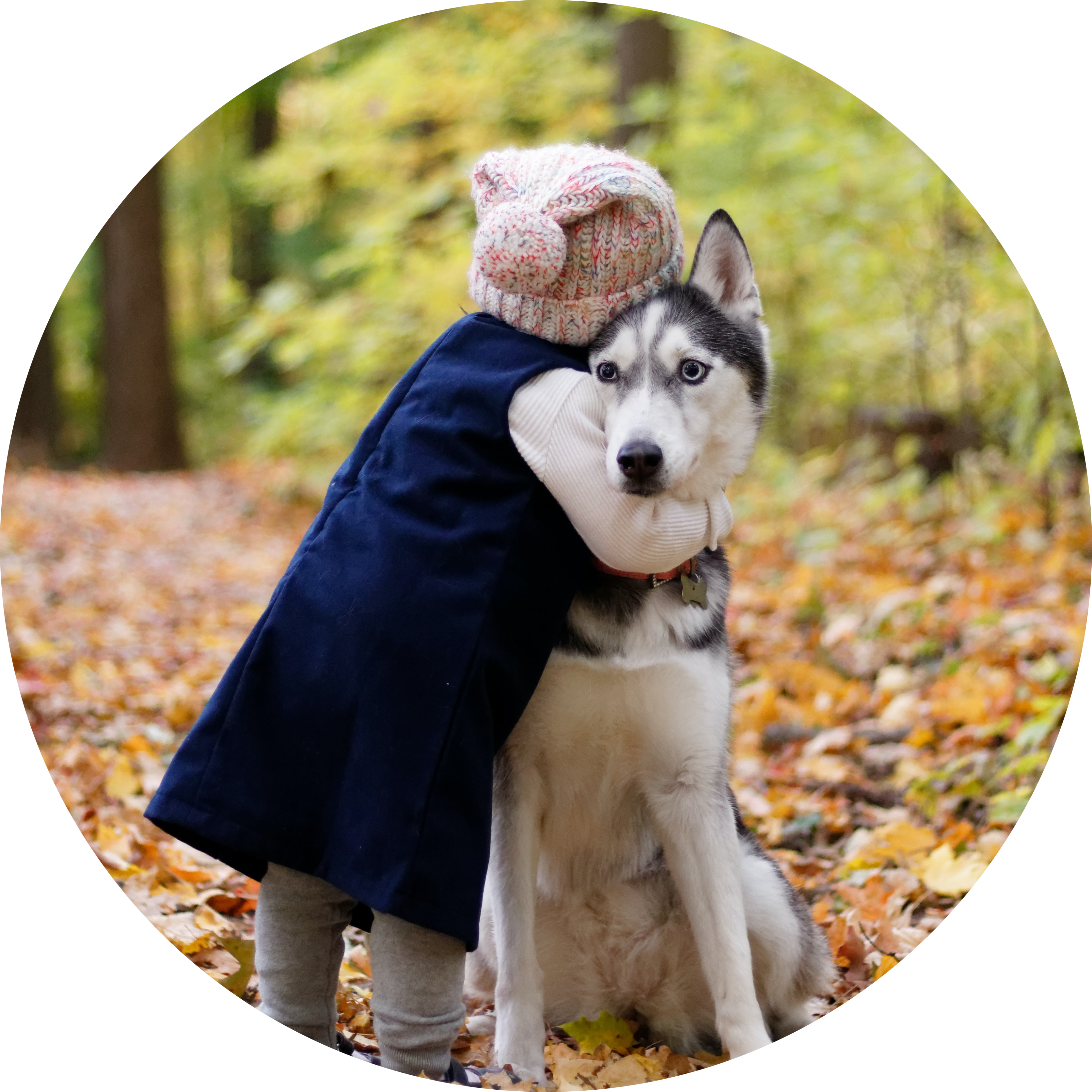 Getting Our Dogs Ready for Our New Baby. After the 6-week course with Talmage, he has completely changed. He listens so well now. I’m happy to say both dogs are so well behaved around our new baby.