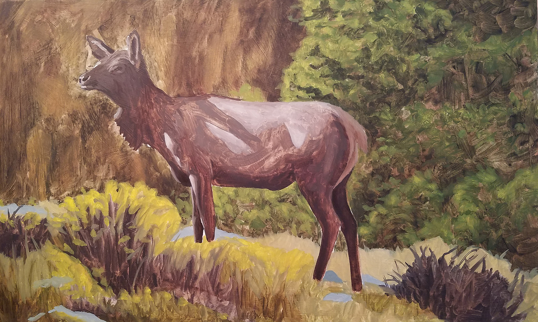 Elk oil painting, indirect method, under painting layer by Artist Robert Louis Caldwell