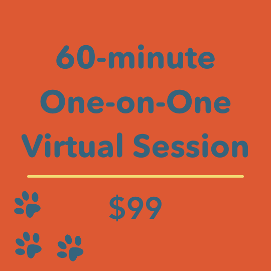 60-minute coaching session for $99