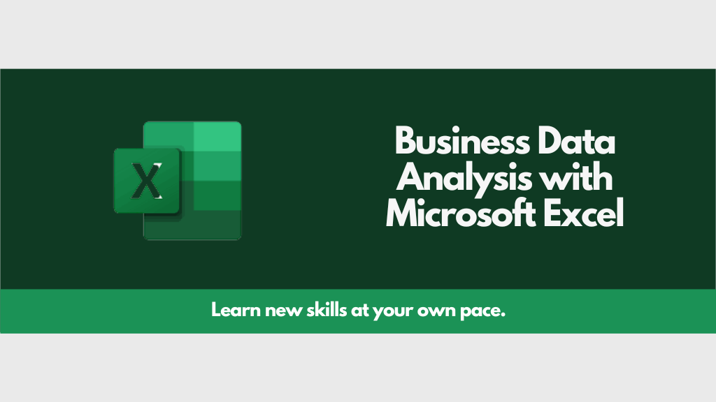 Business Data Analysis with Microsoft Excel
