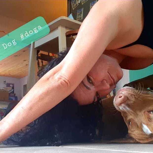 Learn Doga like Your Dog Knows Yoga
