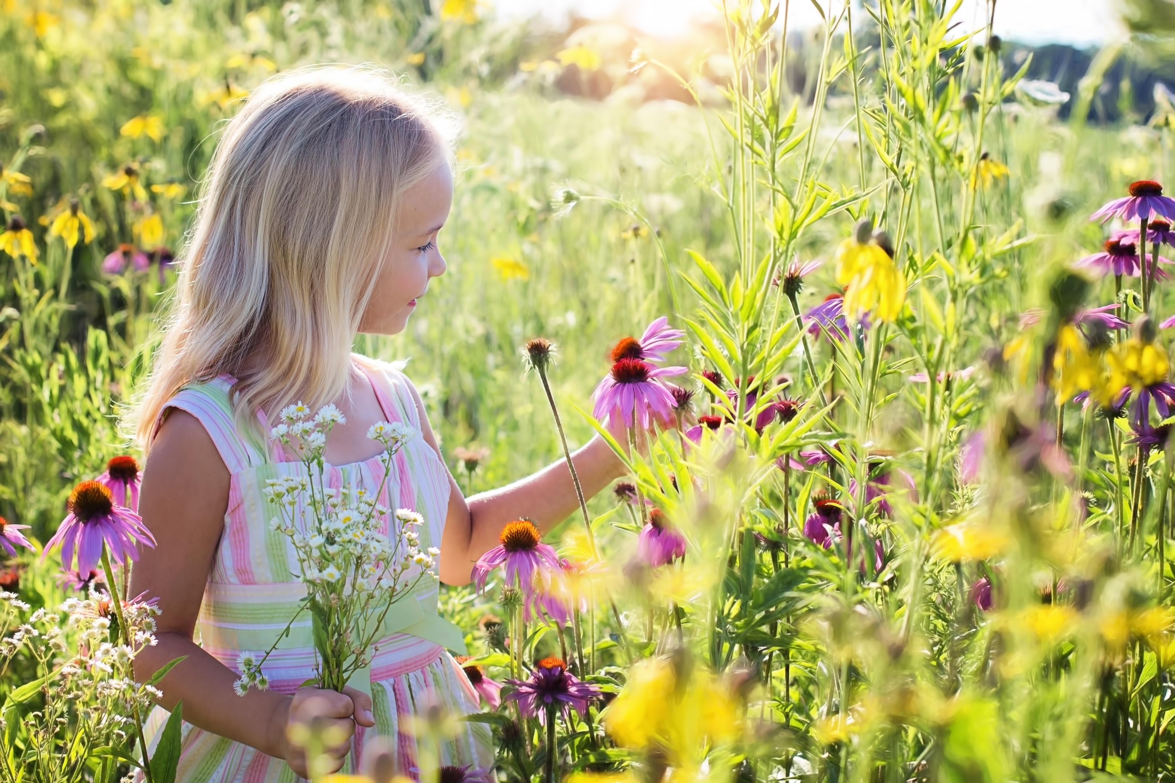 Une fillette dans un champ de fleurs