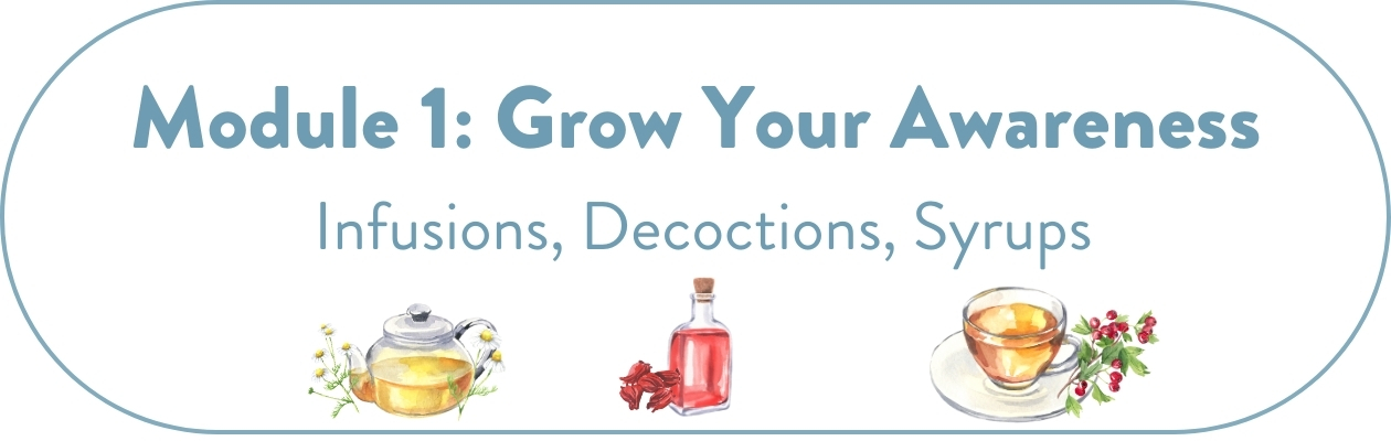 Module 1: Grow Your Awarness: Infusions, Decoctions, and Syrups