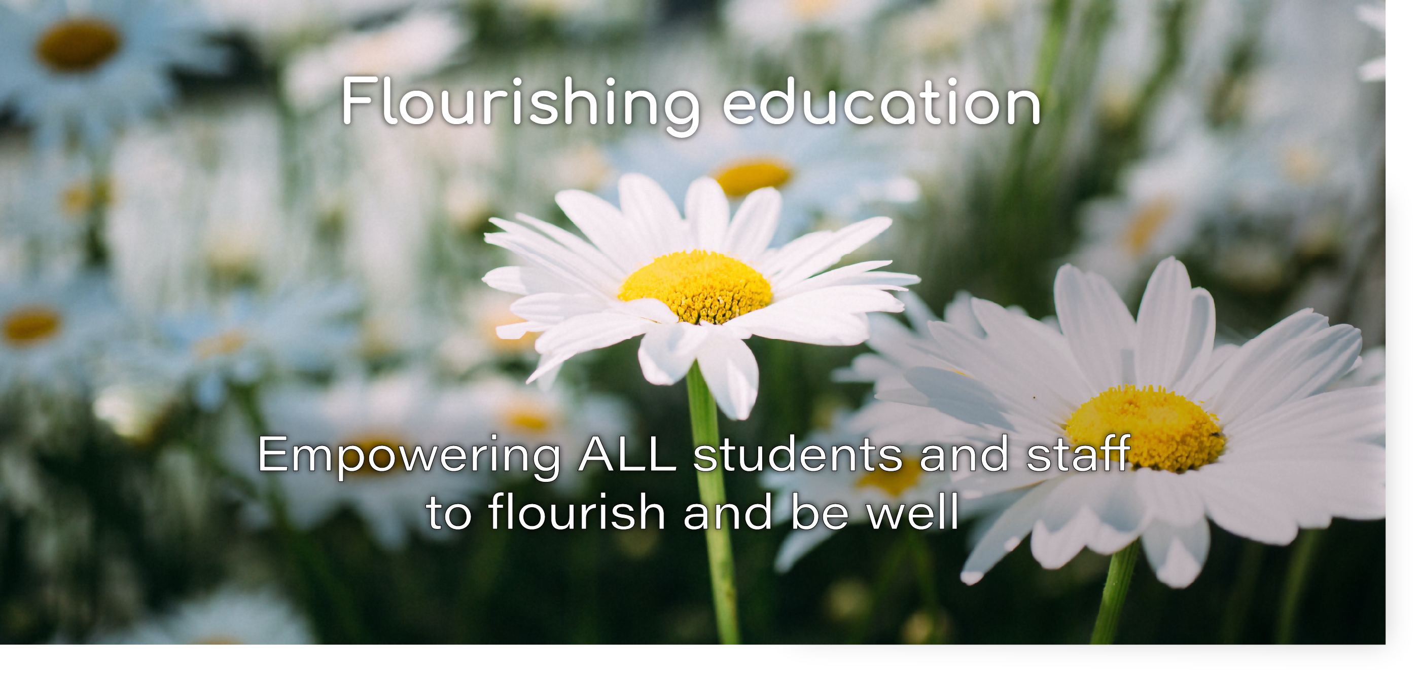 Flourishing education: Empower